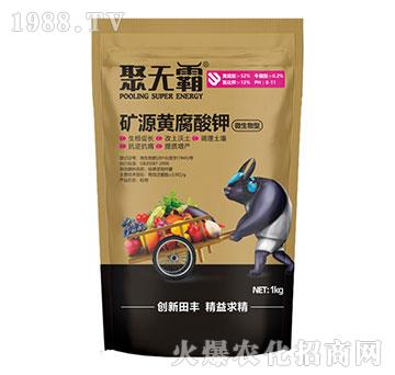 微生物型礦源黃腐酸鉀-聚無(wú)霸-田豐生化
