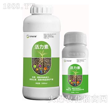 ������-���