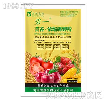 �|̦����s��⛾�-��һ-�̄�����