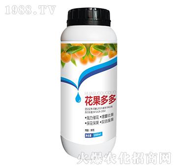 花果多多-中天紅