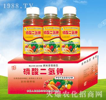 ��������-�S�r(n��ng)�r(n��ng)��