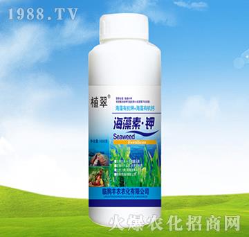 �������-ֲ��-�S�r(n��ng)�r(n��ng)��