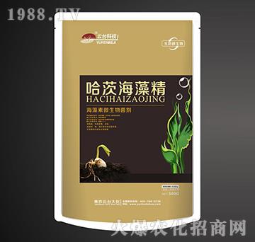 ������΢�������-���ĺ��徫-���_(t��i)��