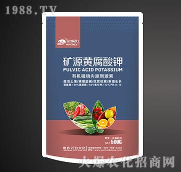 �ЙC(j��)ֲ���(n��i)Դ�̼��أ�500g��-�VԴ�S�����-���_(t��i)��