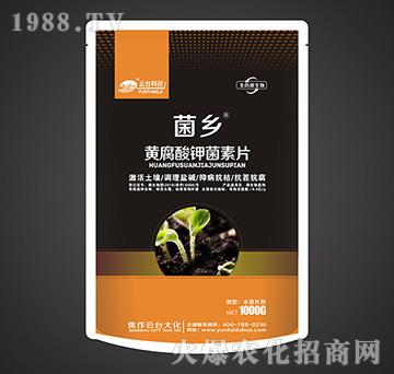 �S����⛾���Ƭ-���l(xi��ng)-���_(t��i)��