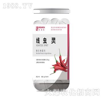 ΢�������-���x�`-��٤�z