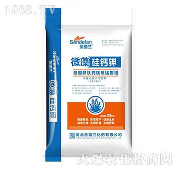 微藻硅鈣鉀-圣德蘭