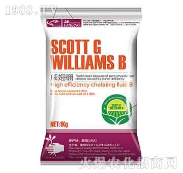 ��ķ��-����r