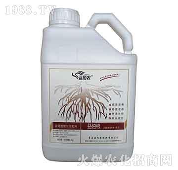 ��۸�-����r(n��ng)