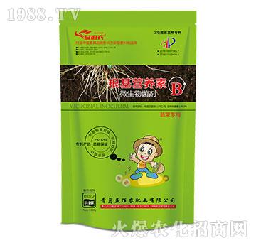 �߲ˌ���΢�������-�����I�B(y��ng)��B-����r