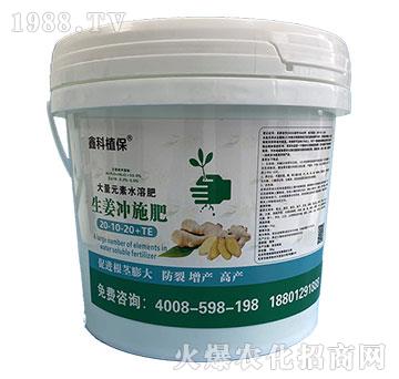大量元素水溶肥20-10-20+TE-生姜沖施肥-鑫科植保