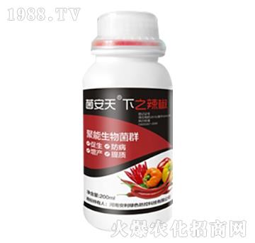 辣椒專用聚能生物菌群-菌安天下-河南安利