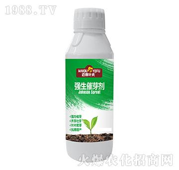 強力催芽劑-邁度葉夫