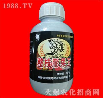 整枝膨果王-黑馬肥業(yè)