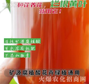 礦源腐植酸（花卉綠植通用）-彭邦生物