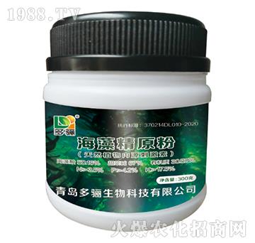 ���徫ԭ��-���P����