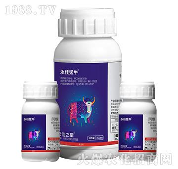 ������ţ-����֮��