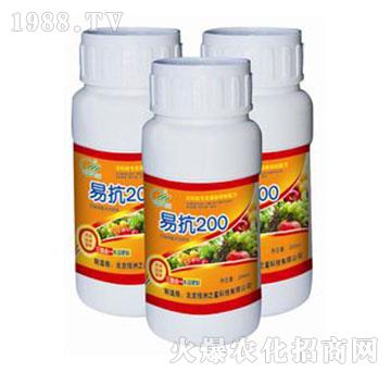 易抗200-綠洲之星