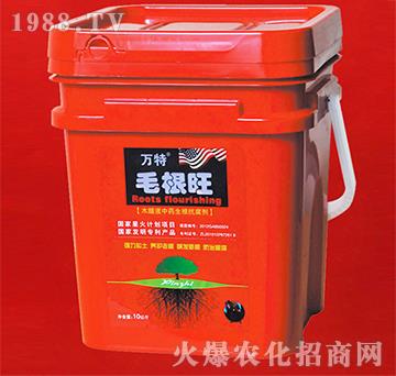 毛根旺-萬特-蕾海實業(yè)