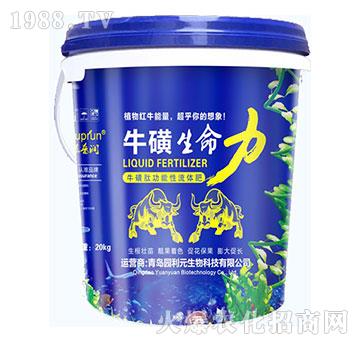 ?；巧?園利元