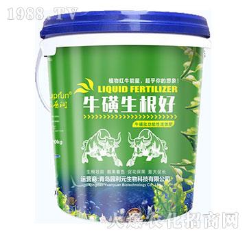 ?；巧?園利元