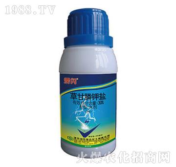 37%�ݸ����}-�Z�W-���r(n��ng)(li��n)��