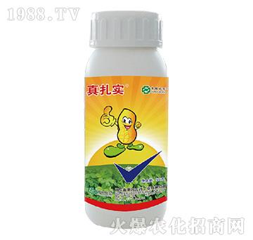 48%���x�����p��-��