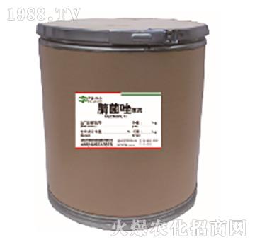 �����ԭˎ-���r(n��ng)(li��n)��