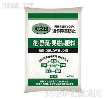 町之田（柱狀）-安田