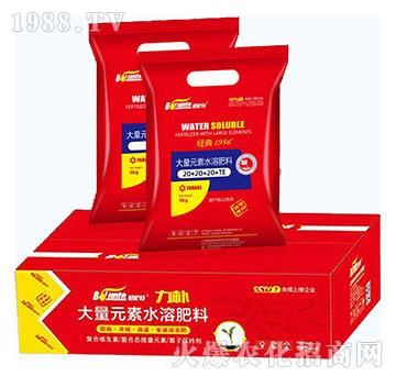 大量元素水溶肥20-20-20+TE-力樸-伯倫特