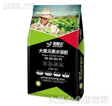 大量元素水溶肥料20-20-20+TE-諾思達
