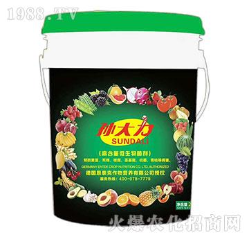 高含量微生物菌劑-孫大力-恩泰克