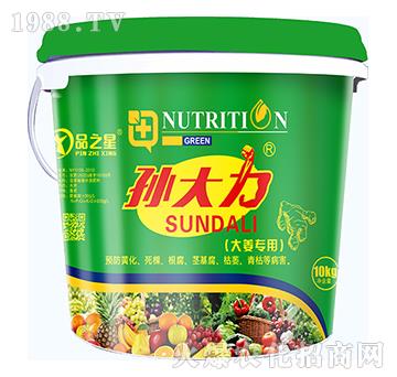 大姜專用孫大力-品之星-恩泰克