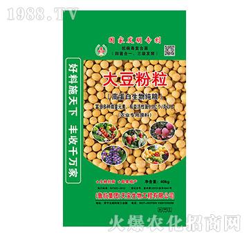 大豆粉粒-天寶