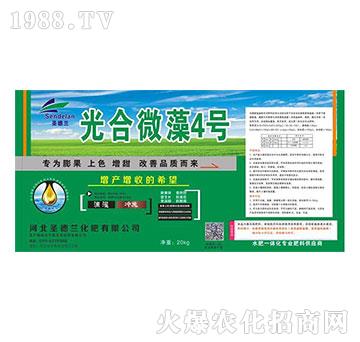 光合微藻4號(hào)-圣德蘭