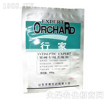 ���䌣�Ú�����-�м�-ʥ�i