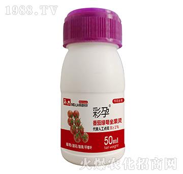 ���ѾG�������`-����-������A