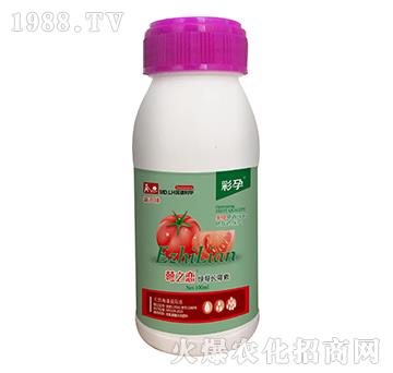 �G���L����-��֮��-����-������A