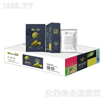 �����J����-�ʉ�-������A