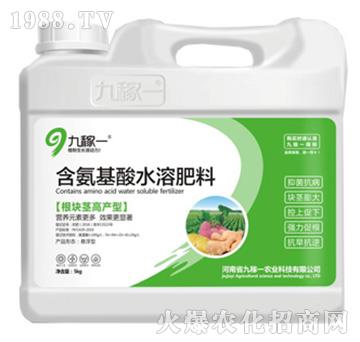 根塊莖高產(chǎn)型含氨基酸水溶肥料-九稼一
