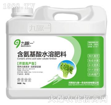 芹菜高產(chǎn)型含氨基酸水溶肥料-九稼一