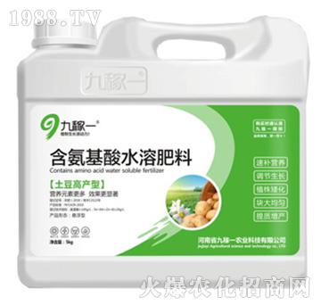 土豆高產(chǎn)型含氨基酸水溶肥料-九稼一