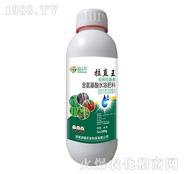 拉直王-潤(rùn)植