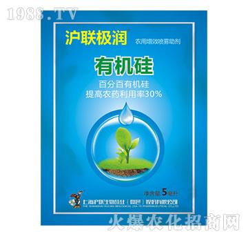 �ЙC��-���O��-��