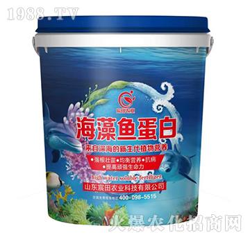 海藻魚蛋白-宸田農業(yè)