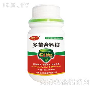 200ml�������}�V-�t��