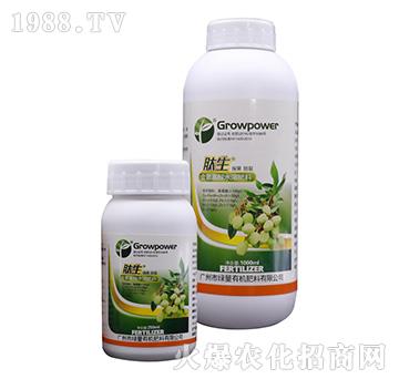 含氨基酸水溶肥料-肽生（保果防裂）-綠量
