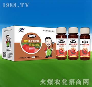 ����������t��-�ֹܼ�-������