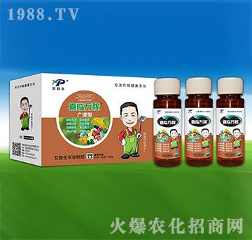 �V�V�ͷ���-ϲ�R�f��-������