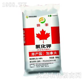 農(nóng)業(yè)用大顆粒氯化鉀-倍豐鹽湖